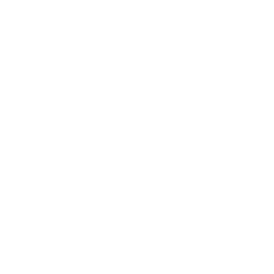 AUXMED Orthopedic Support